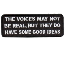 Voices Not Real But have Good Ideas