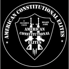 American Constitutional Elite