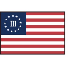 Patriot Warriors Flag Patch 3x2 inch