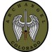 Colorado Angel Tactical Militia Patch