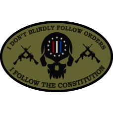 Follow The Constitution  patch