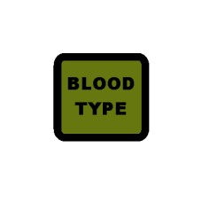 Custom Blood Type and Rank Cube Patch 1.5 by 1.5 inches