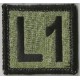 Training Level Patch 1.5 by 1.5 inches