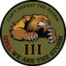 We Are The Storm 3.5 inch patch