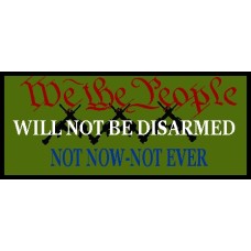  We The People Plate Carrier Patch 3 X 7 inch