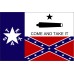 Texas Rebel flag